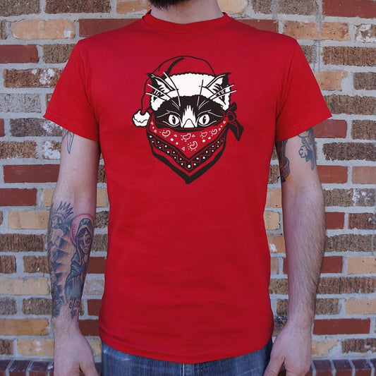 Quarantine Santa Cat