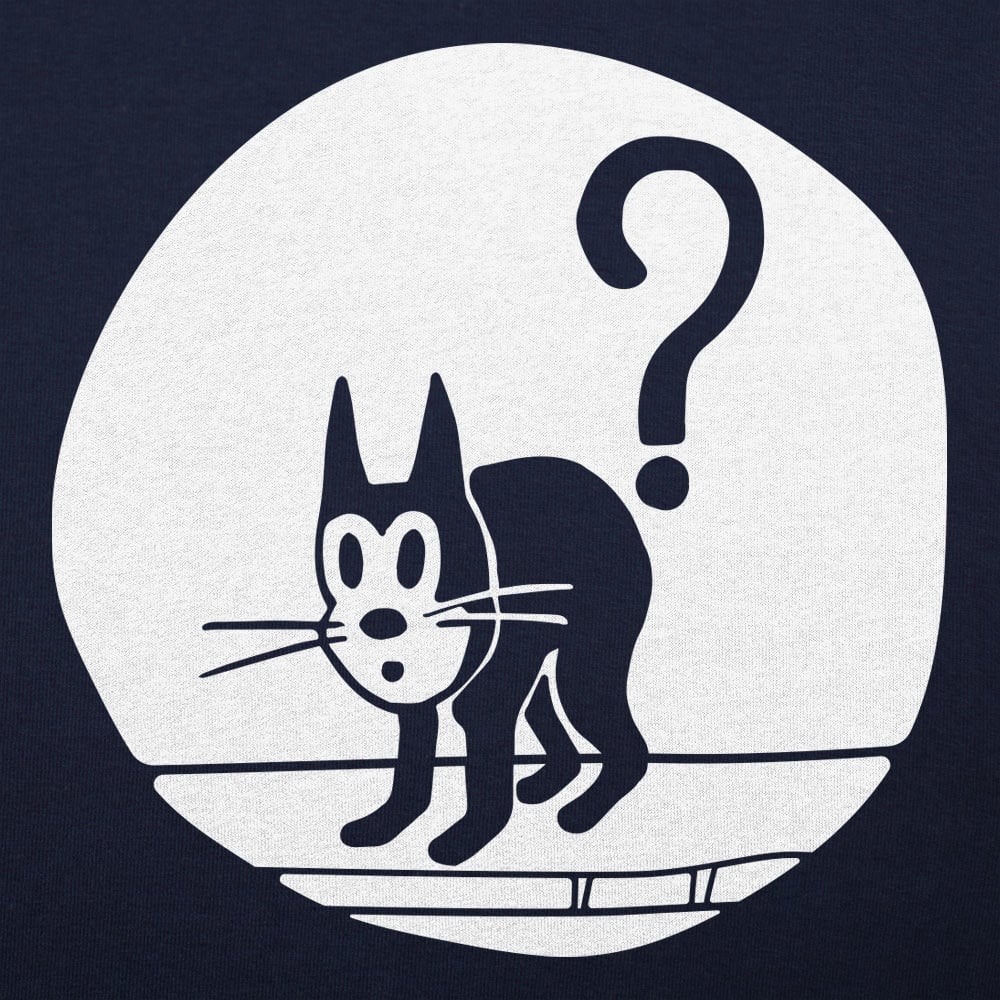 Question Cat