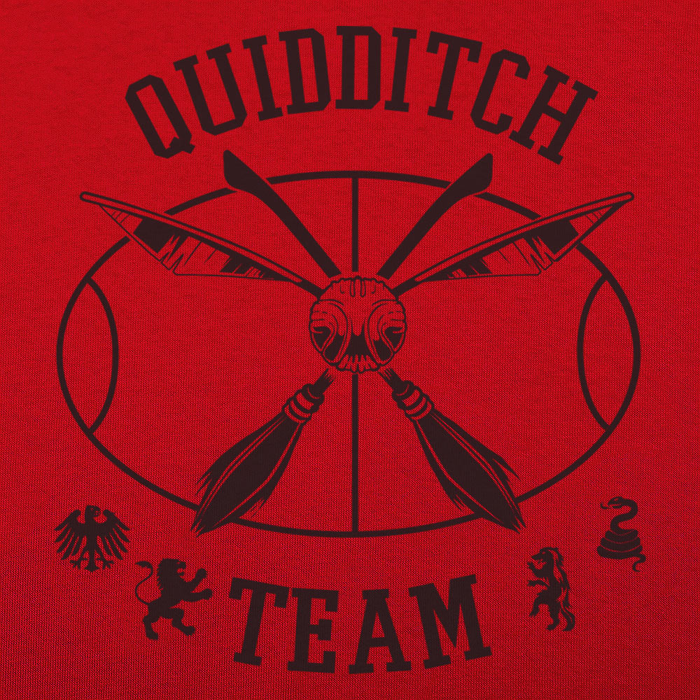 Quidditch Team
