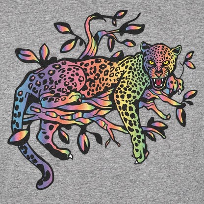 Rainbow Leopard Lounging Full Color detail