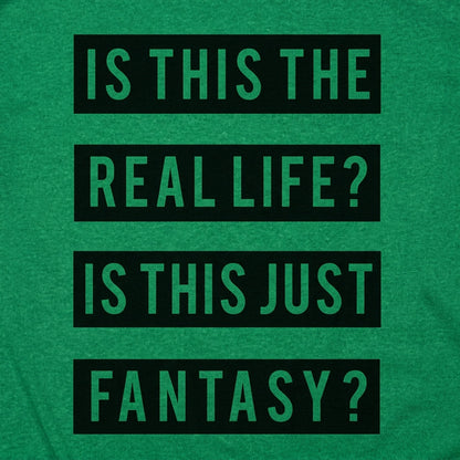 Real Life Or Fantasy? detail