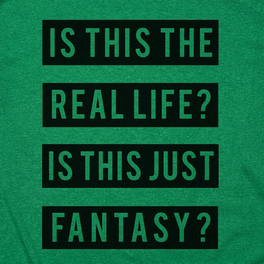 Real Life Or Fantasy? detail