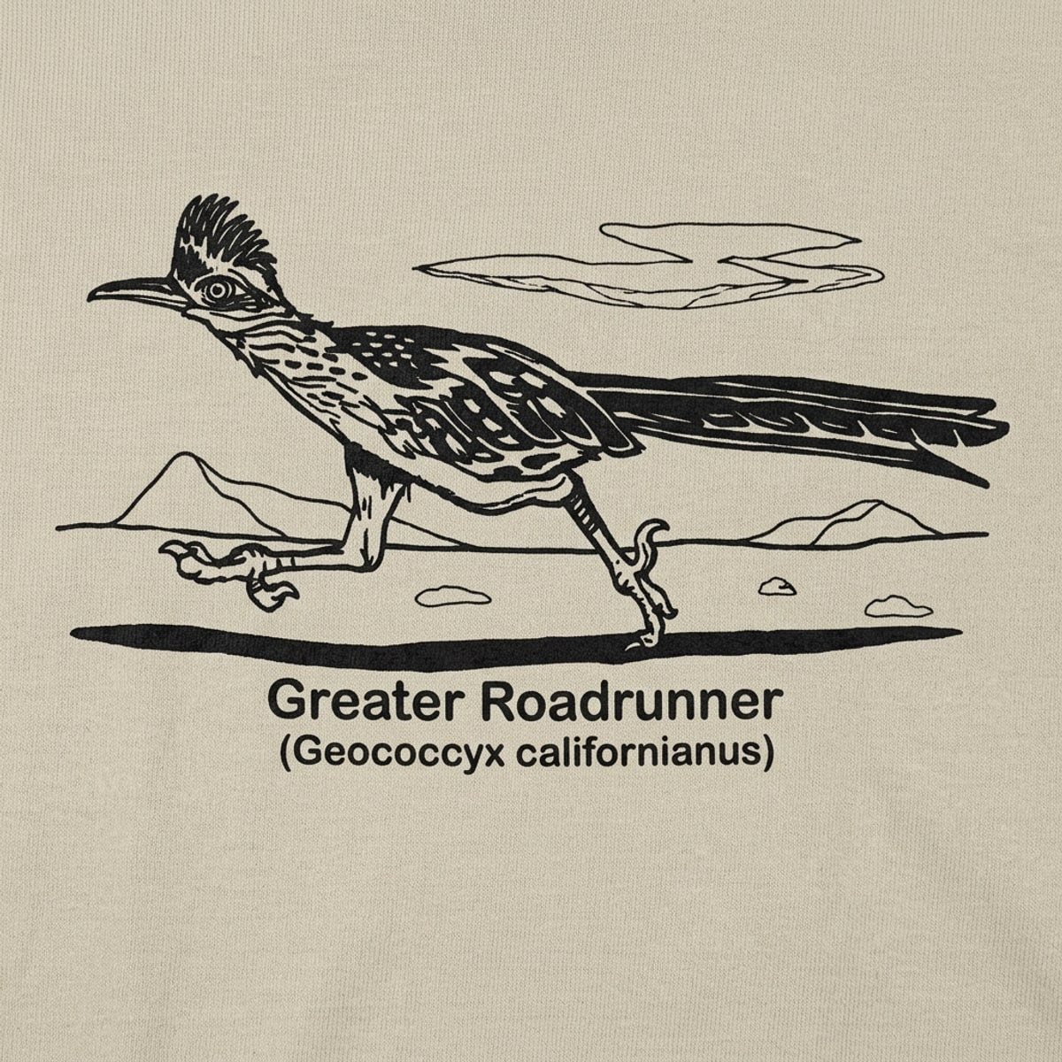 Roadrunner detail