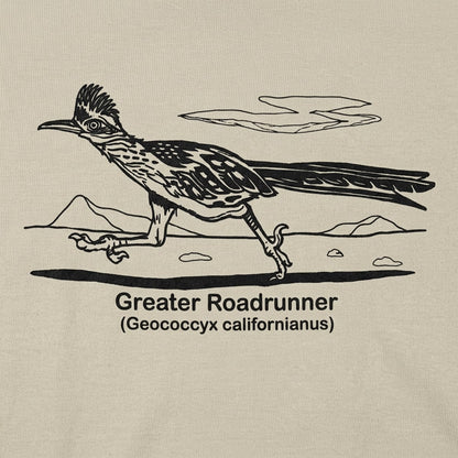 Roadrunner detail