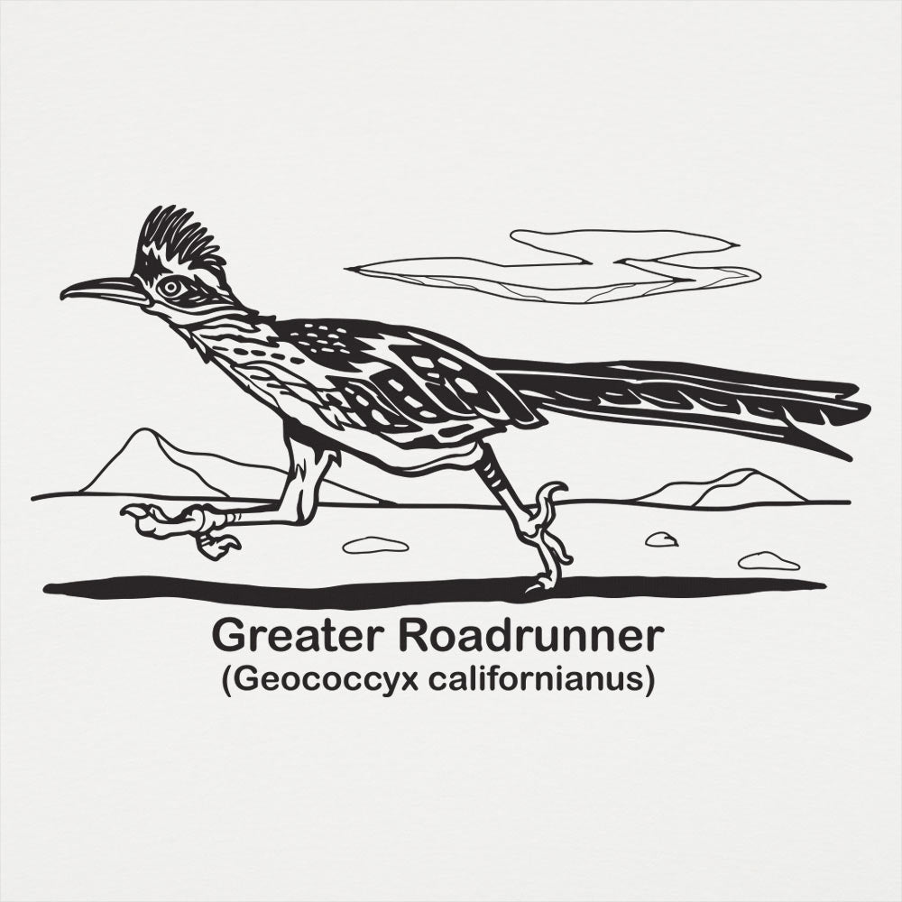 Roadrunner