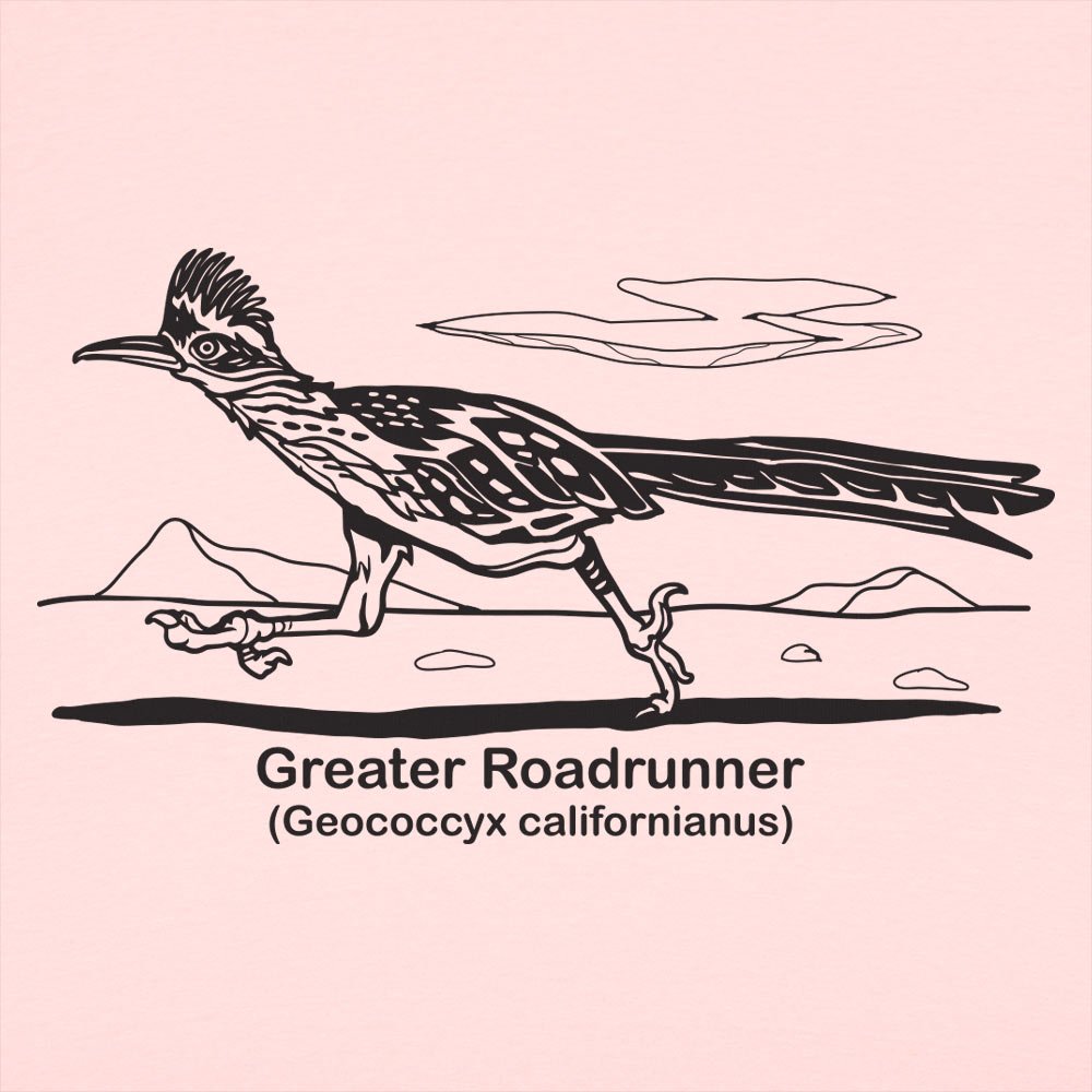 Roadrunner - 6DollarShirts