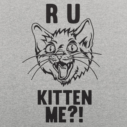 R U Kitten Me Wild Eyed Hissing Cat Face Pun graphic tee design