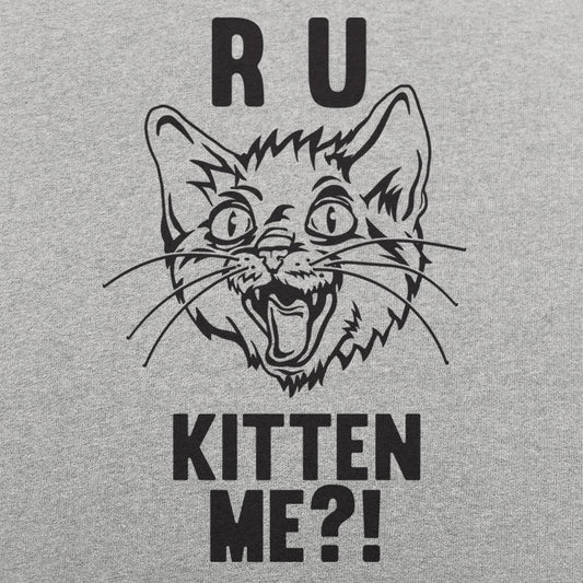 R U Kitten Me?