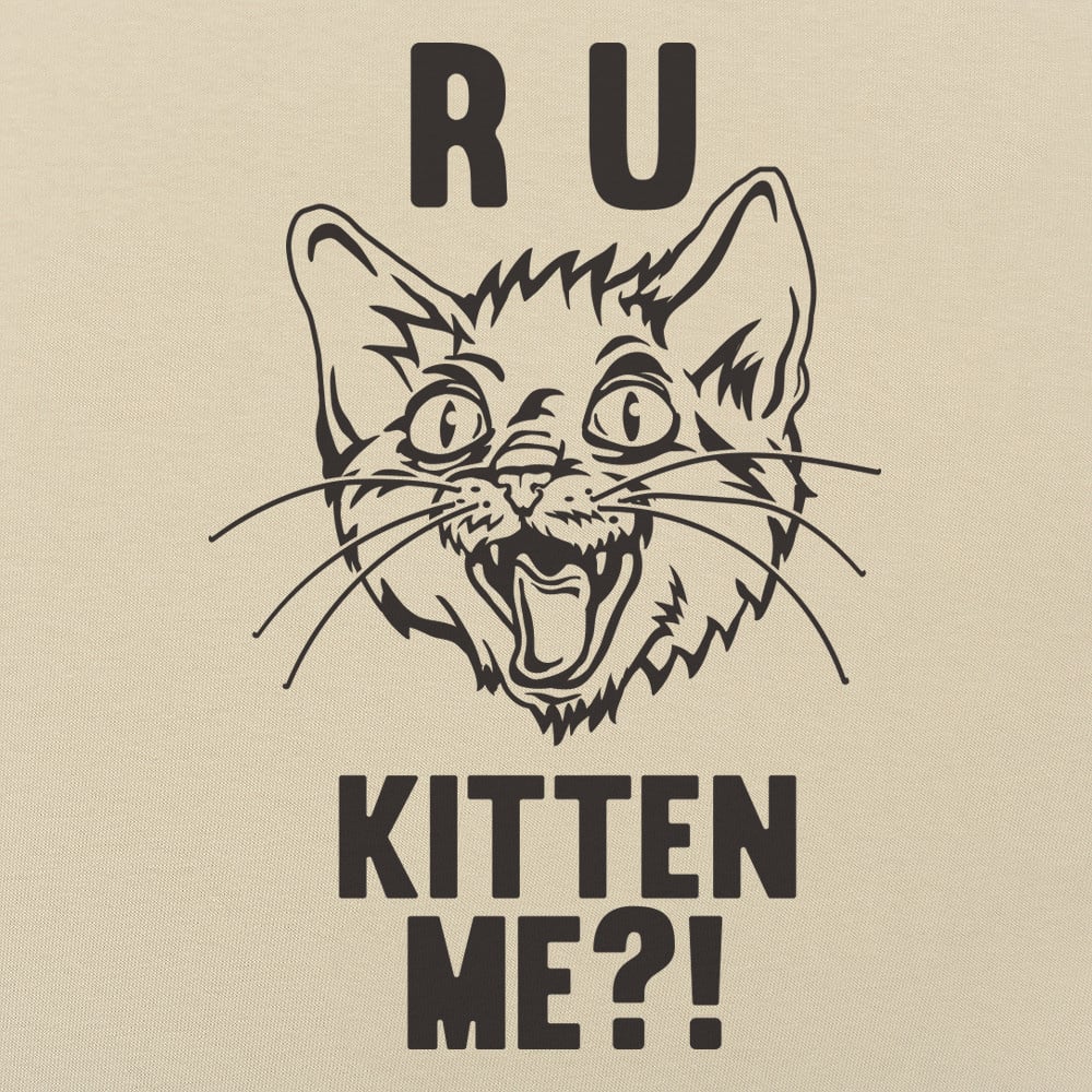 R U Kitten Me?