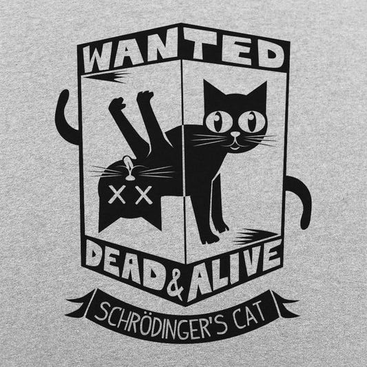 Schrodinger's Cat Wanted Dead and Alive Quantum Physics Box graphic tee design