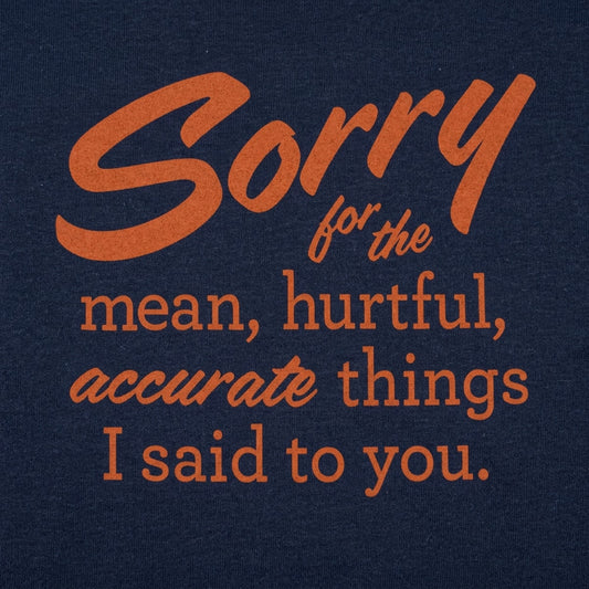 Sorry for the Mean Hurtful Accurate Things I Said to You detail