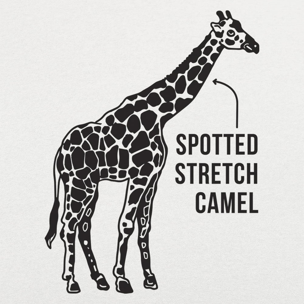 Spotted Stretch Camel - 6DollarShirts