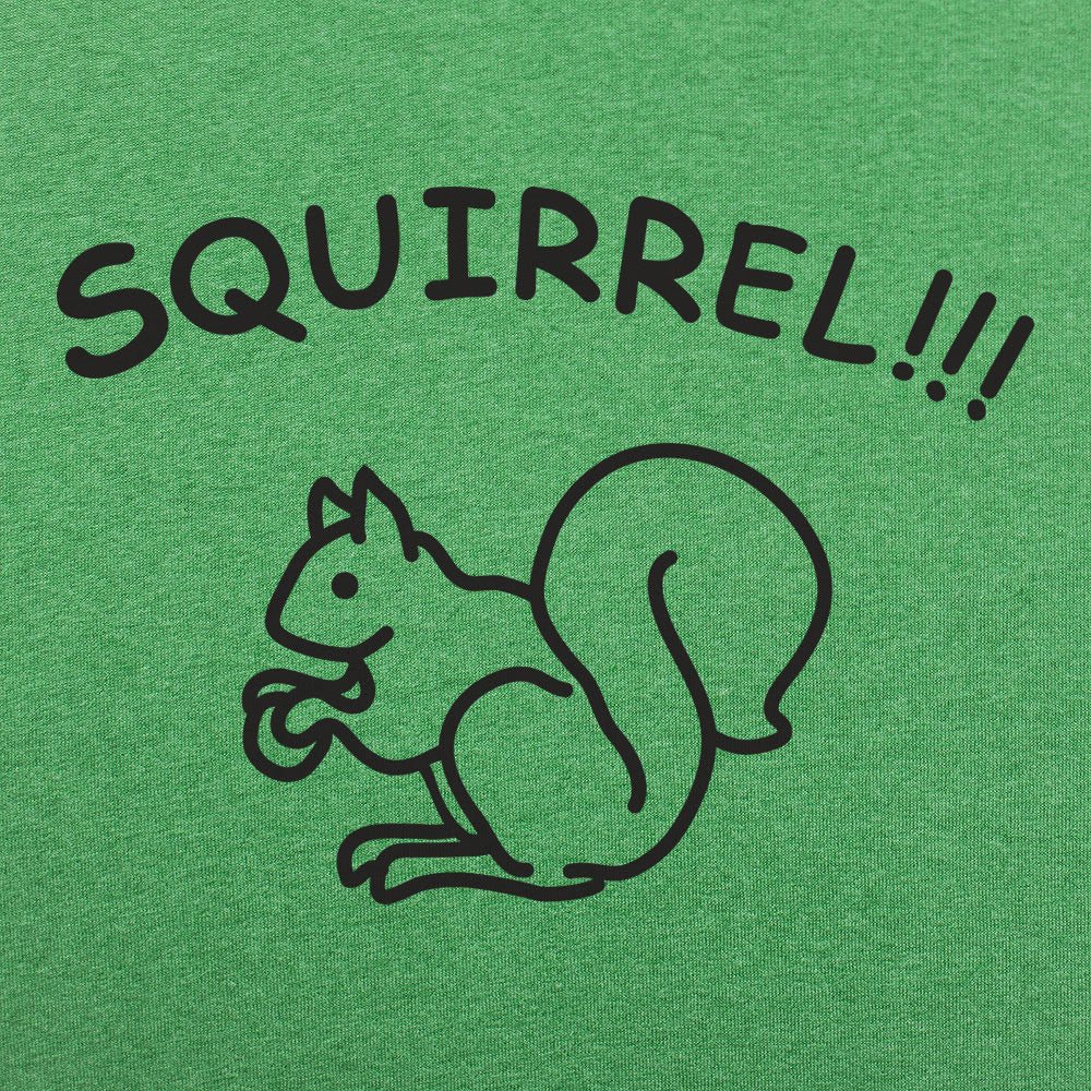 Squirrel - 6DollarShirts