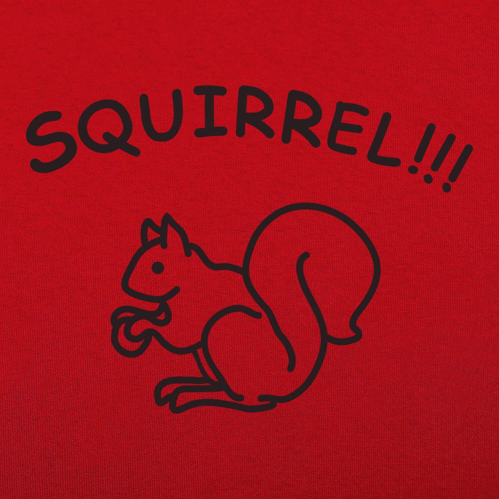 Squirrel - 6DollarShirts