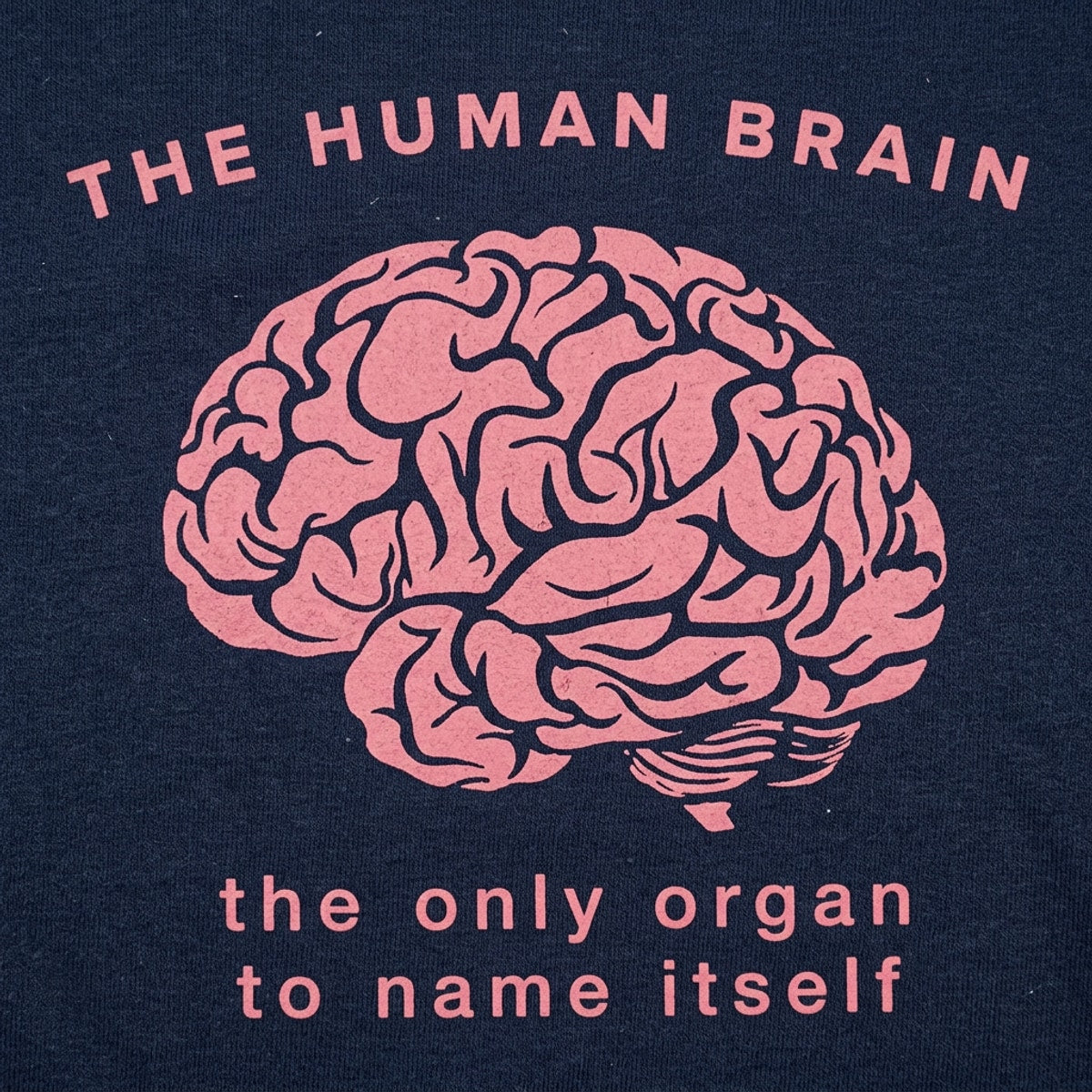 The Human Brain, the Only Organ to Name Itself detail
