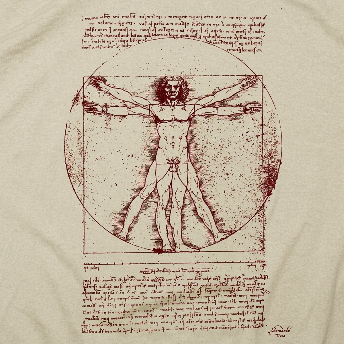 The Vitruvian Man Da Vinci Anatomy Sketch detail