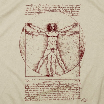 The Vitruvian Man Da Vinci Anatomy Sketch detail