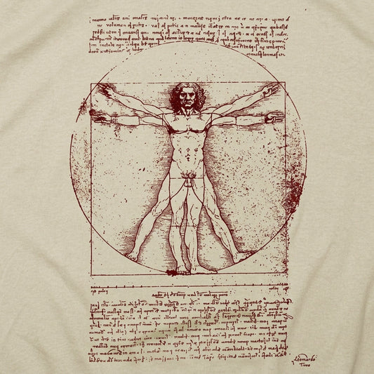 The Vitruvian Man Da Vinci Anatomy Sketch detail