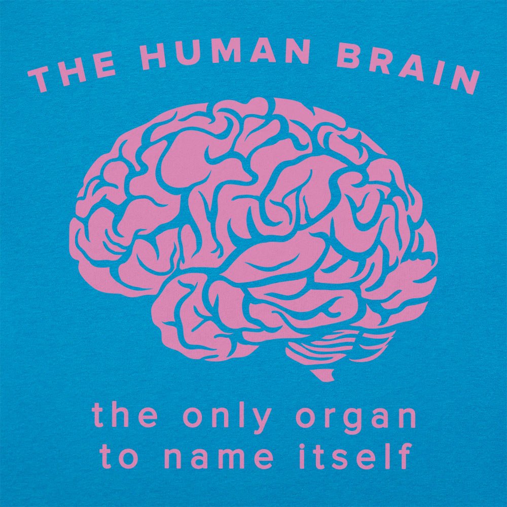 The Human Brain - 6DollarShirts