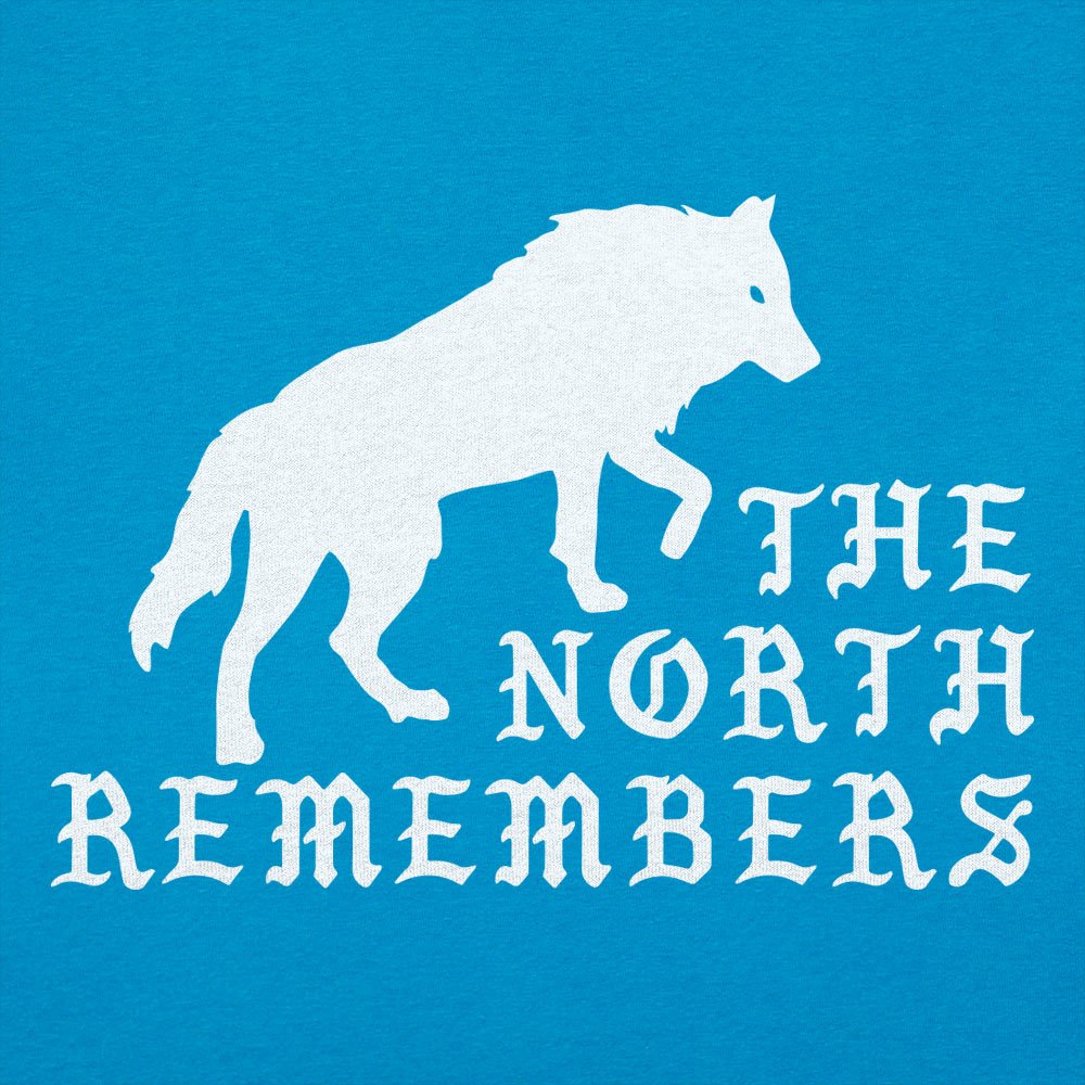 The North Remembers - 6DollarShirts