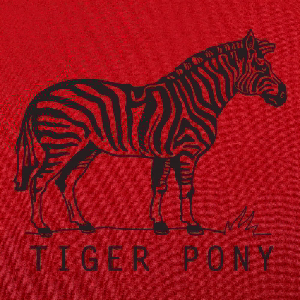 Tiger Pony