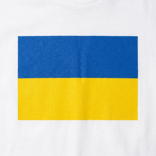 Ukraine Flag detail