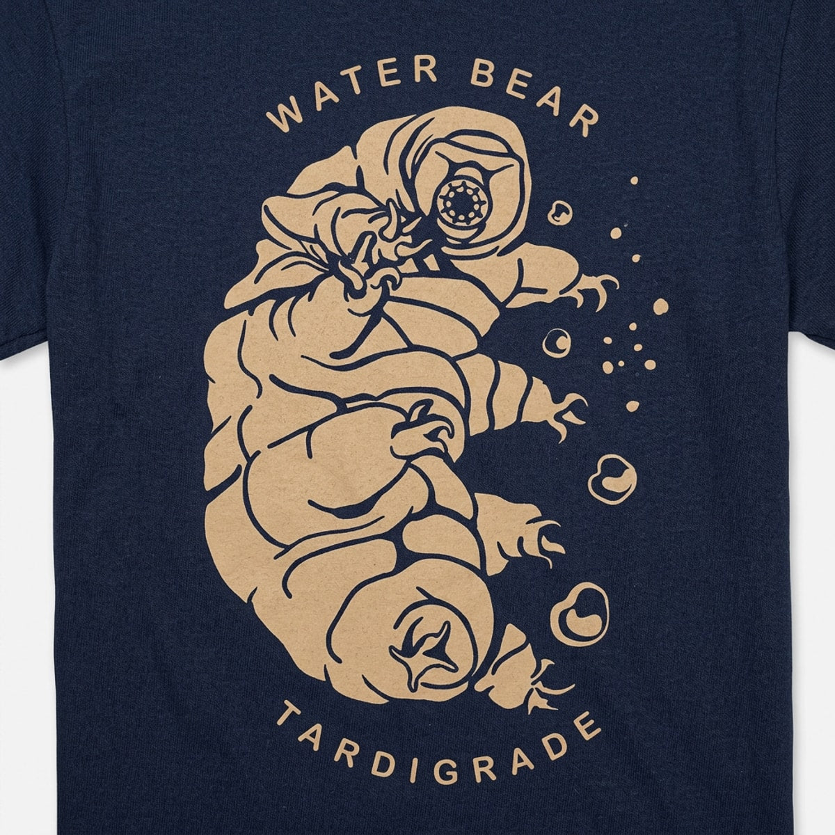 Water Bear detail