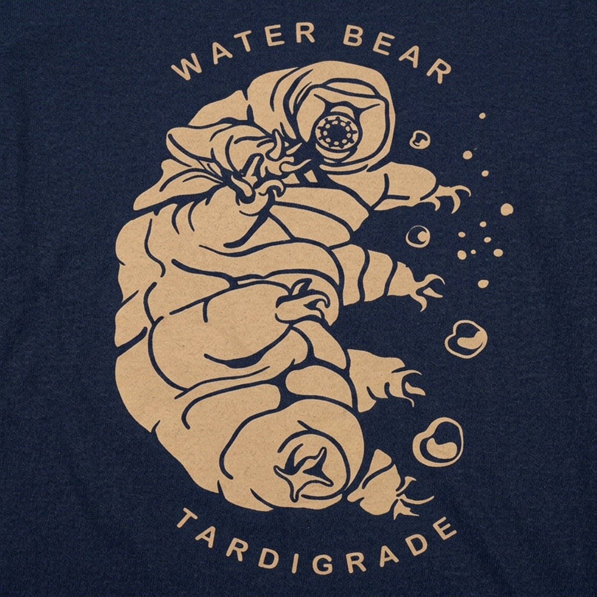 Water Bear Tardigrade Illustration detail