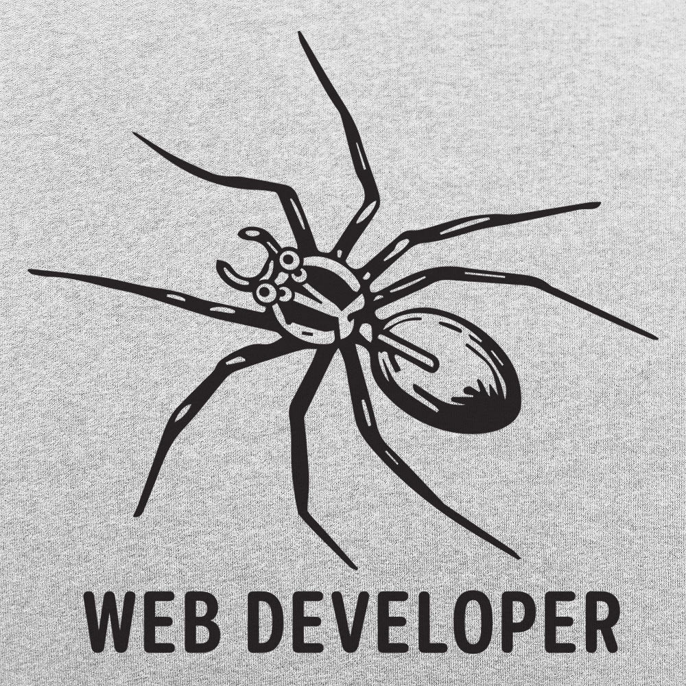 Web Developer