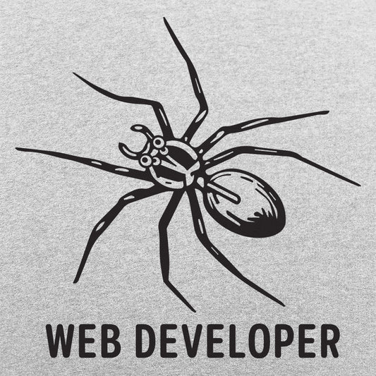 Web Developer