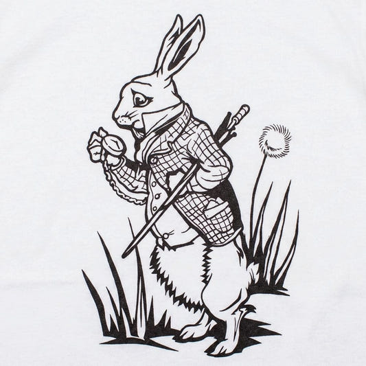 The White Rabbit Checking His Pocket Watch detail