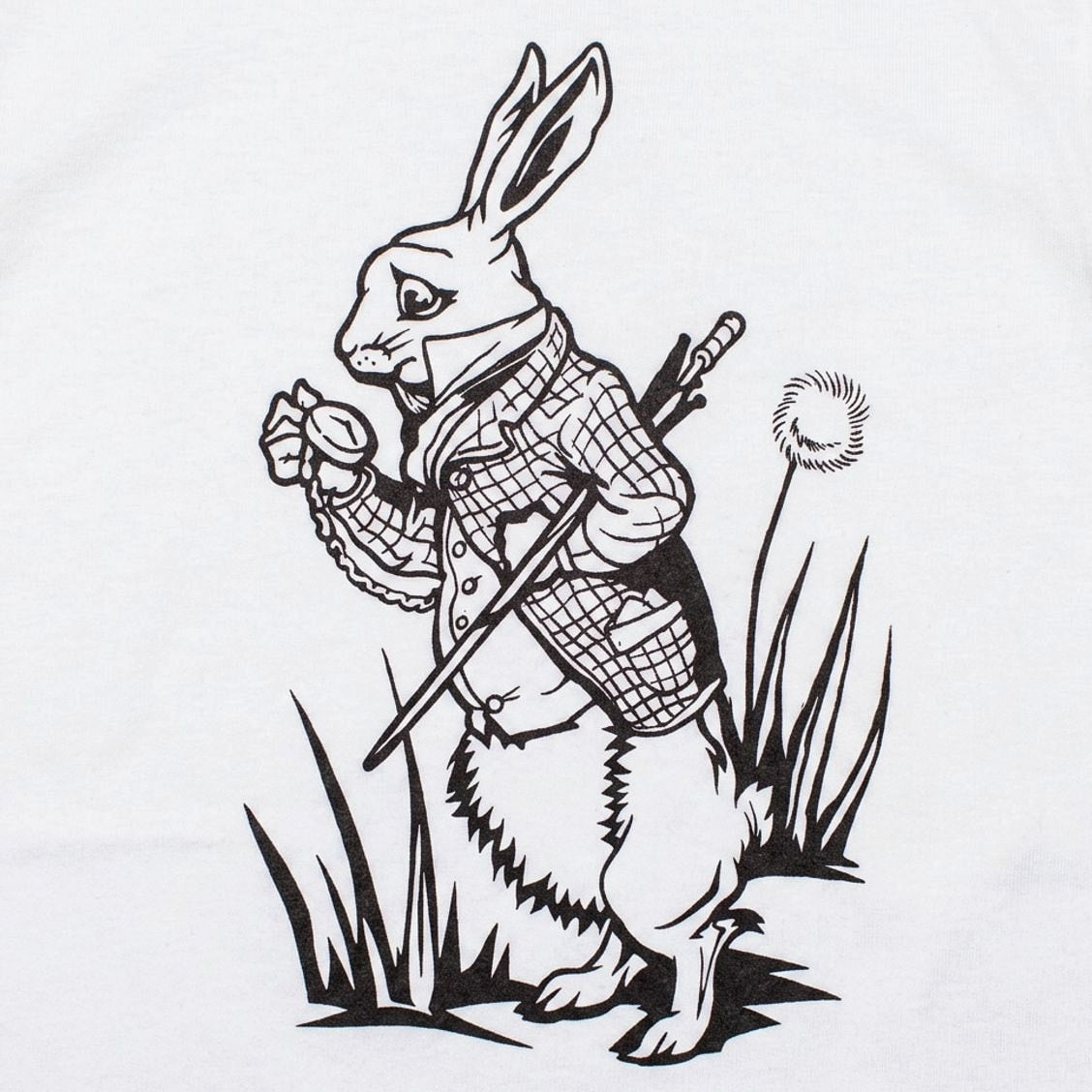 The White Rabbit Checking His Pocket Watch detail