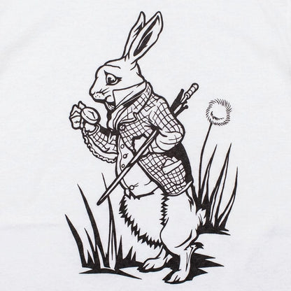 The White Rabbit Checking His Pocket Watch detail