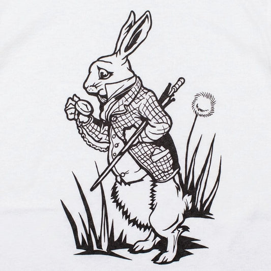 The White Rabbit Checking His Pocket Watch detail
