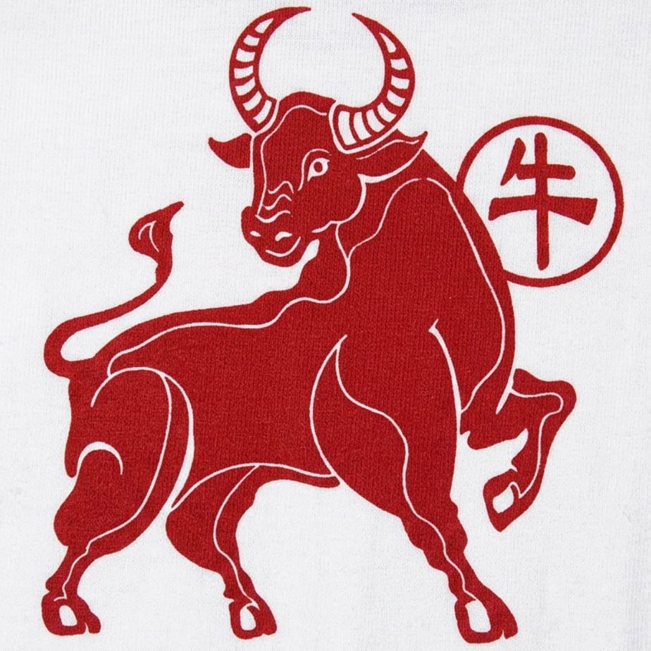 Year Of The Ox detail