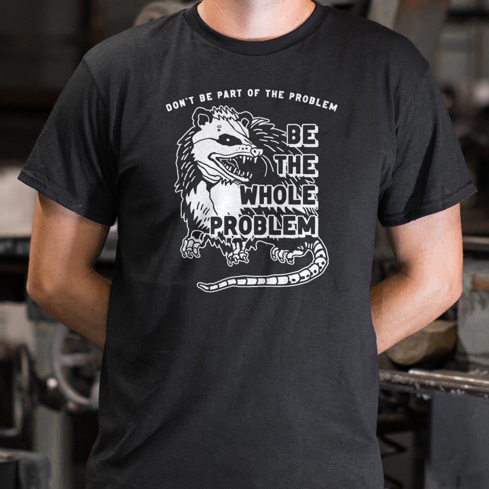 Whole Problem - 6DollarShirts