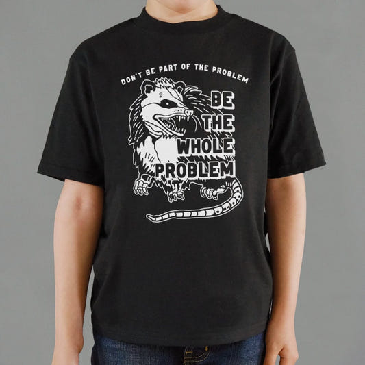 Whole Problem - 6DollarShirts
