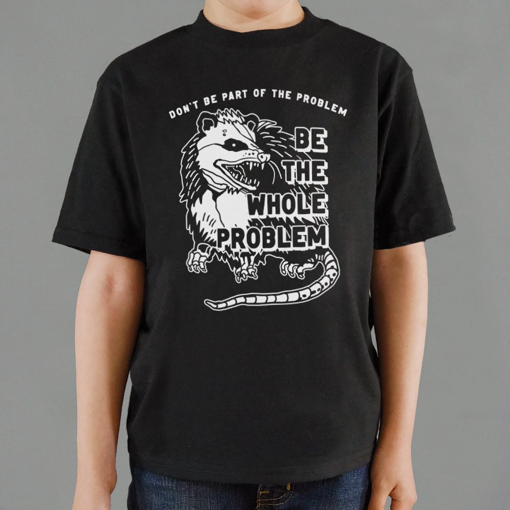 Whole Problem - 6DollarShirts