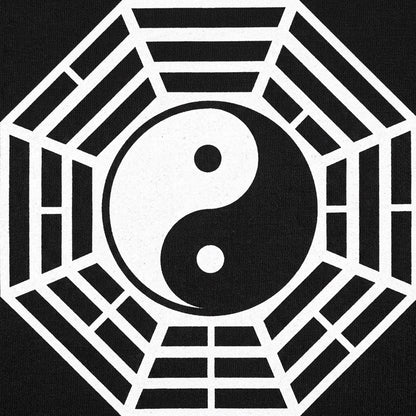 Yi Jing Yin And Yang detail