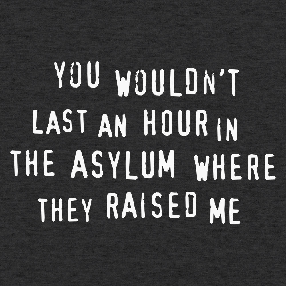 You Wouldn't Last an Hour - 6DollarShirts