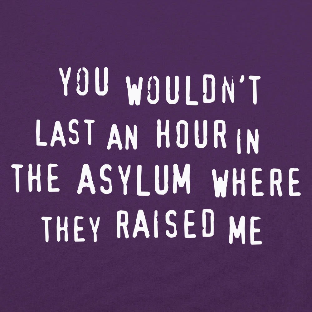 You Wouldn't Last an Hour - 6DollarShirts